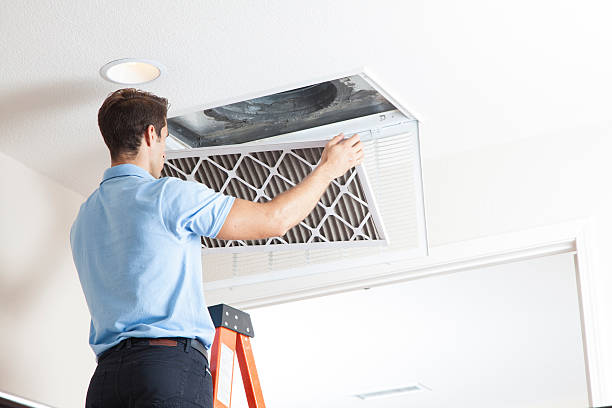 Best Residential HVAC services  in Mayer, MN